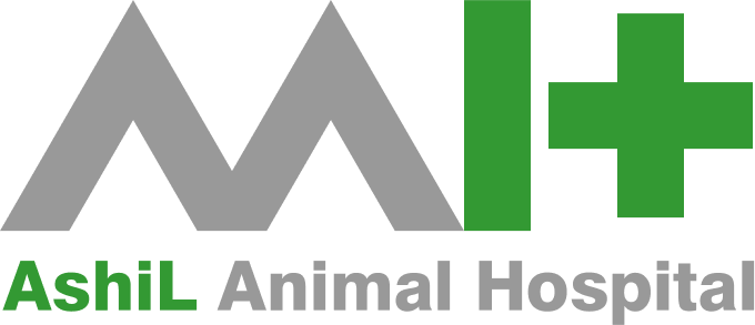 アシル動物病院